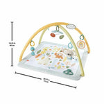 V11H52EE2803D9C8714544D22564552DC766R6386907P5