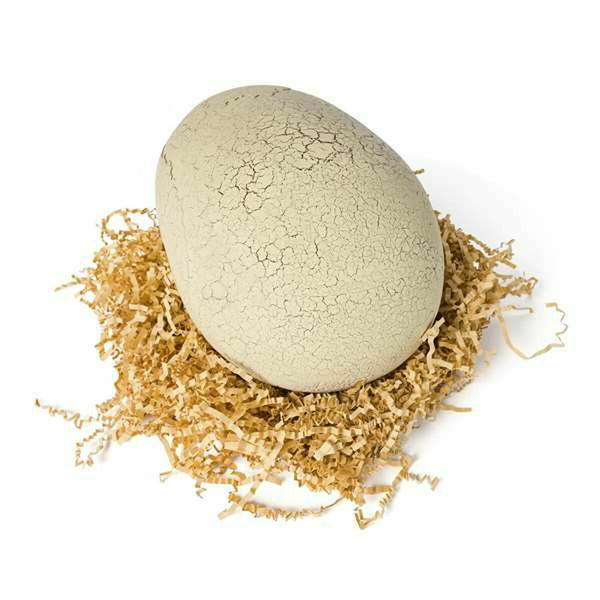 V4H6B062CFDA82B3BEAD8FBF01F0BA63085R6483164P5