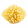 Esponja Corporal ThermoBaby Amarillo