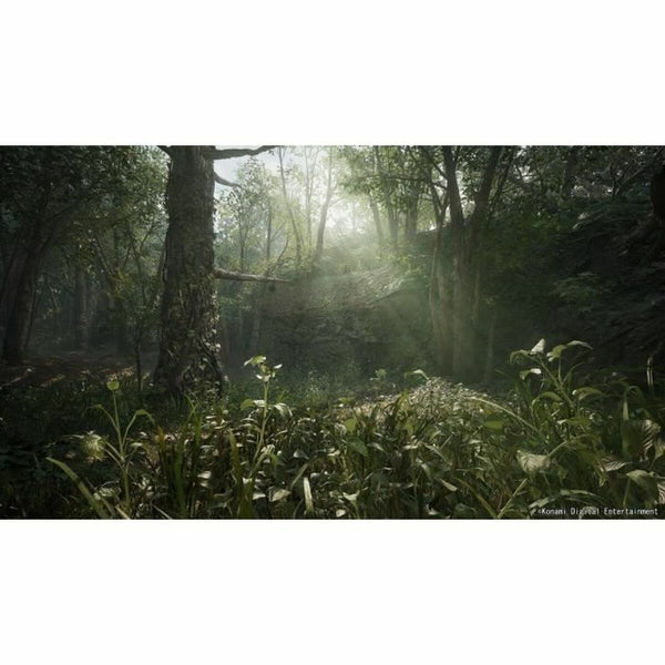 V3H2F1A10479704B5B832B7555708154294R7049406P5