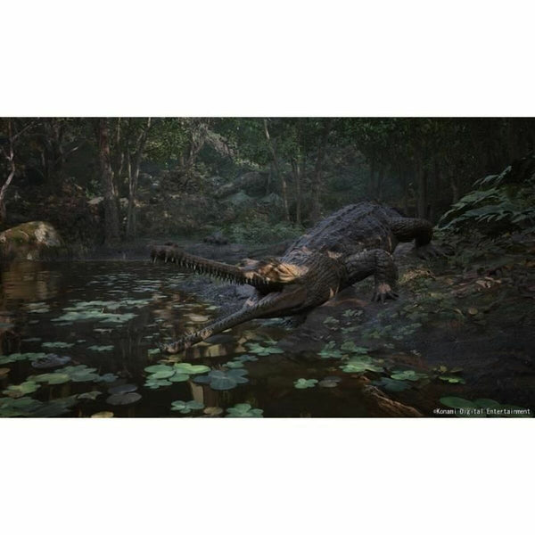 V3H36D6642095E7C12D1F32305A28246865R7049410P6