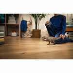 V5H0F9A567A37830676589ADA779CBB2F24R5566992P2