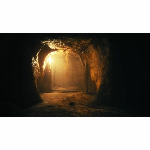 V5H92125DC10A6F6EF449C6C0E28FD85954R4954534P4