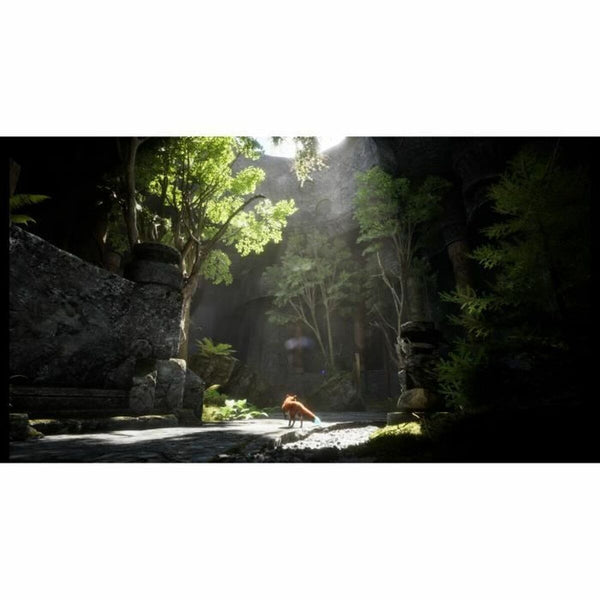 V4HB80E7BC681B828EEDFC2374E84BCA0B0R5781049P4