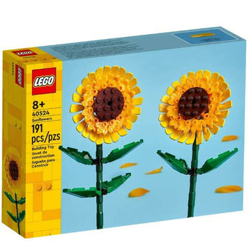 Juego de Construcción Lego 40524 1 Pieza
