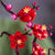 V4HB98CE0AFCB9AD59E244DCE6151D49C24R4983356P3