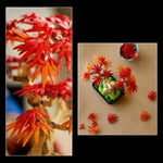 V3H6621E4D0BDC26E0B41807BDE3FFAA963R6185585P4