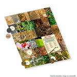 V4H335FEC38100EB80B0A9F66CD91B2FD17R6208248P4