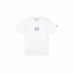 V6H2D08F45AF3ACEFC2A87749FB8F0A83C0R6603236P1