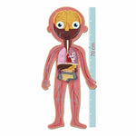 V6H4E62B5B08DCF00BEF5E5CAA3BA80E82ER5272596P2