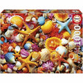 Puzzle Educa Collage de Conchas 1000 Piezas