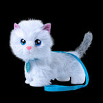 V4HA9270136B60F526B8CAAEEE1DBB197F0R5818790P8