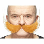 V4H433755E8029600428A080BC2F4D7AFC6R7078879P1