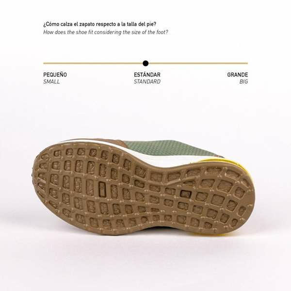 V3H433BA4FFAF1E192D178E790F37E09CD5R5508322P2